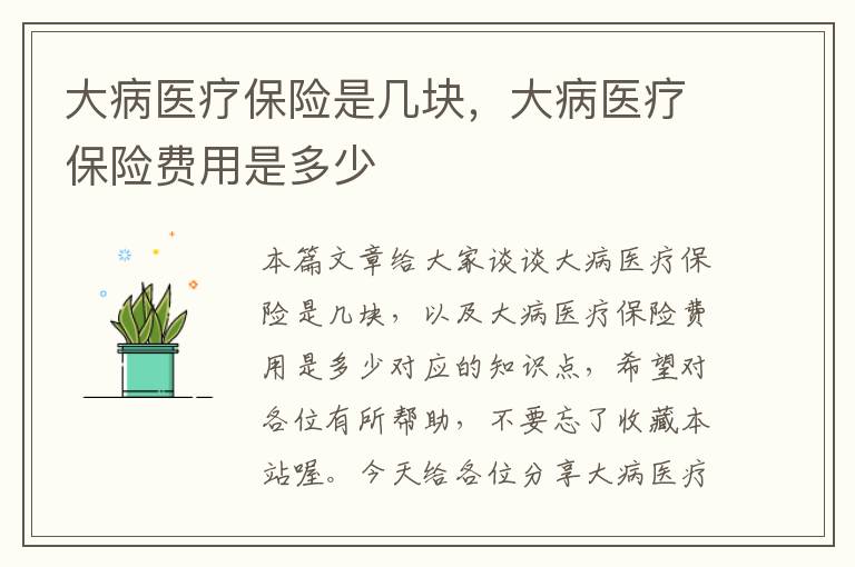 大病医疗保险是几块，大病医疗保险费用是多少