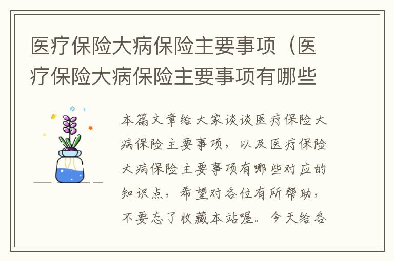 医疗保险大病保险主要事项（医疗保险大病保险主要事项有哪些）