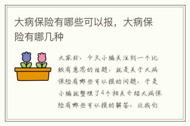 大病保险有哪些可以报，大病保险有哪几种