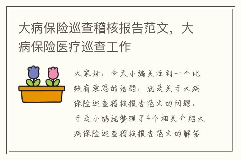 大病保险巡查稽核报告范文，大病保险医疗巡查工作