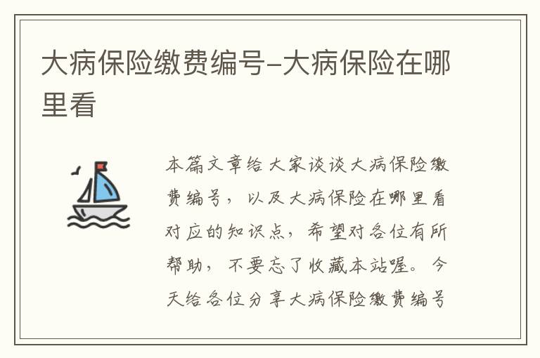 大病保险缴费编号-大病保险在哪里看