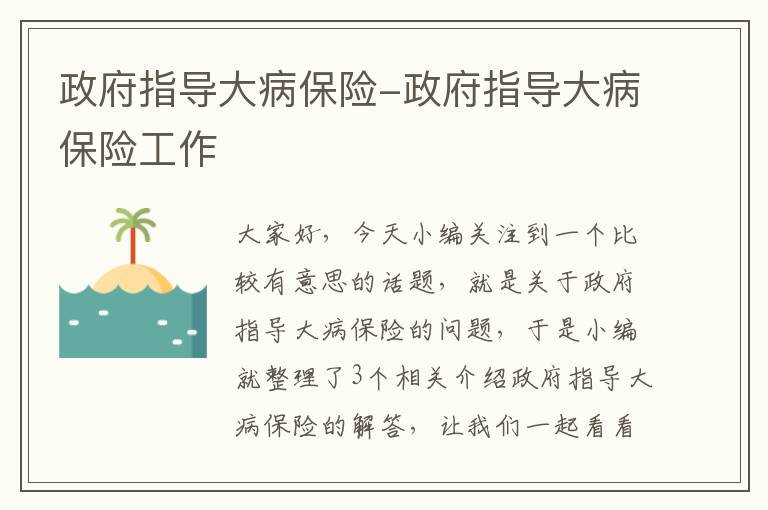 政府指导大病保险-政府指导大病保险工作