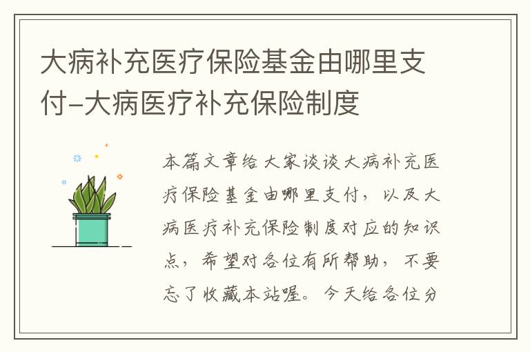 大病补充医疗保险基金由哪里支付-大病医疗补充保险制度