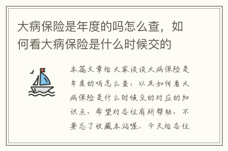 大病保险是年度的吗怎么查，如何看大病保险是什么时候交的