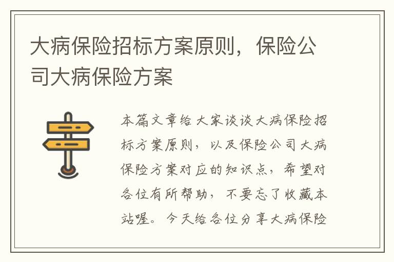 大病保险招标方案原则，保险公司大病保险方案