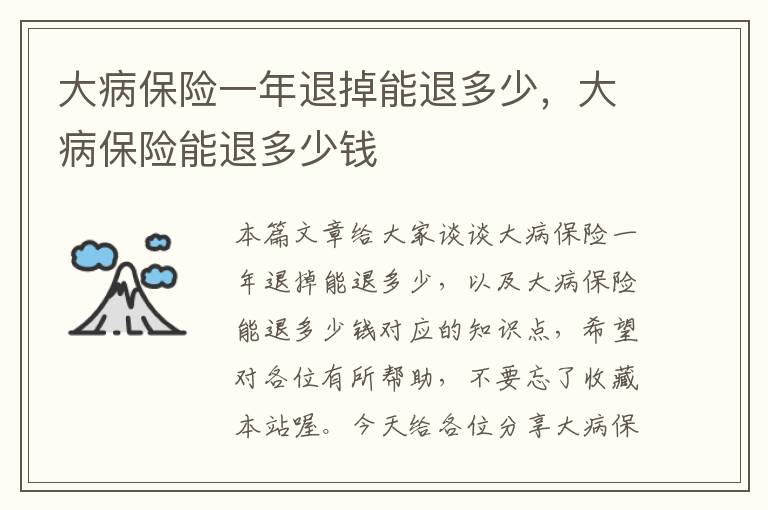 大病保险一年退掉能退多少，大病保险能退多少钱