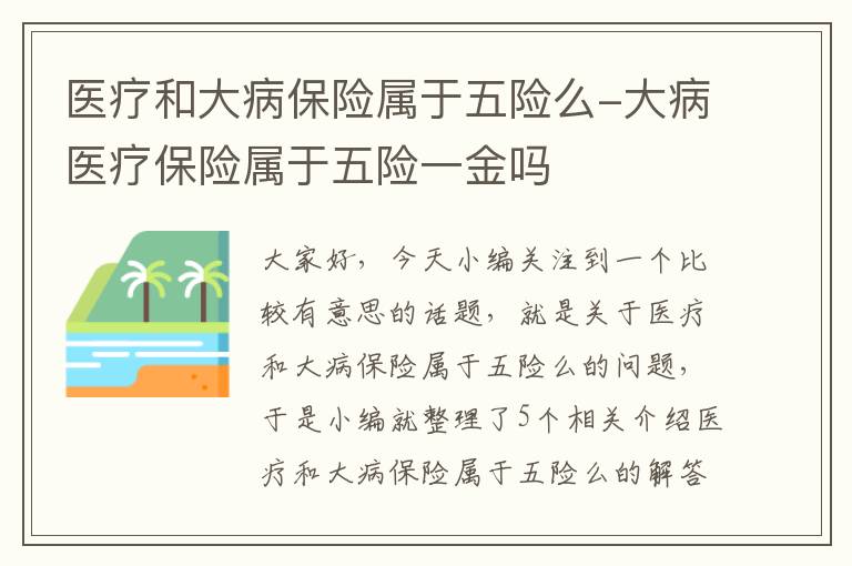 医疗和大病保险属于五险么-大病医疗保险属于五险一金吗