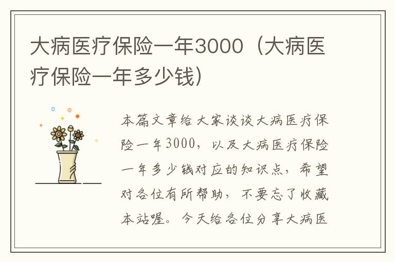 大病医疗保险一年3000（大病医疗保险一年多少钱）