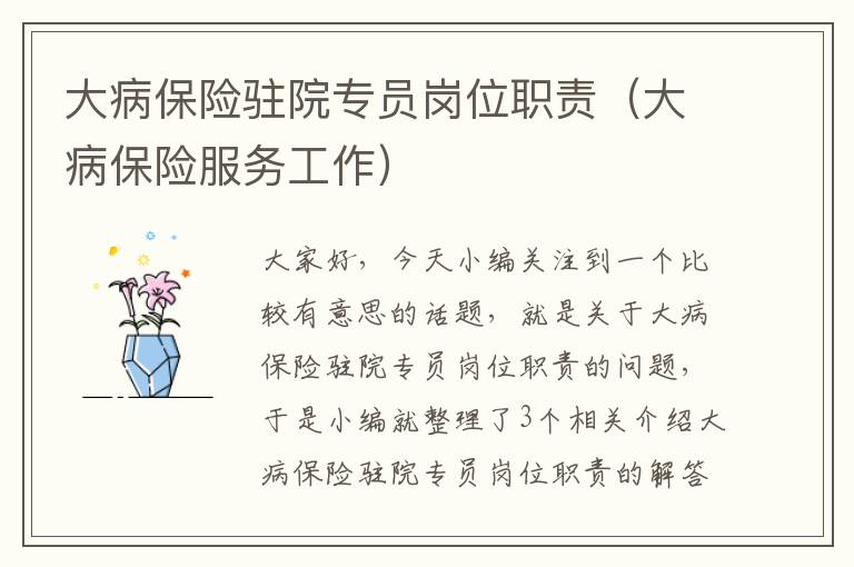 大病保险驻院专员岗位职责（大病保险服务工作）