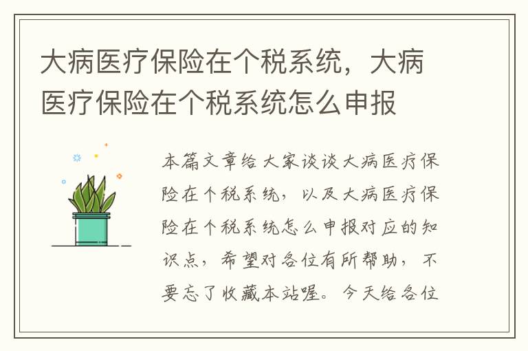 大病医疗保险在个税系统，大病医疗保险在个税系统怎么申报