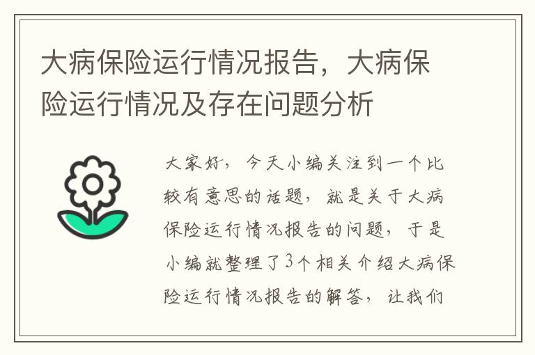 大病保险运行情况报告，大病保险运行情况及存在问题分析