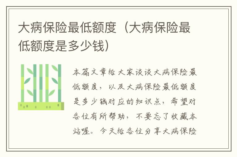 大病保险最低额度（大病保险最低额度是多少钱）