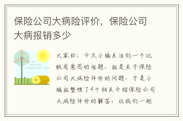 保险公司大病险评价，保险公司大病报销多少