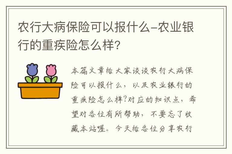 农行大病保险可以报什么-农业银行的重疾险怎么样?