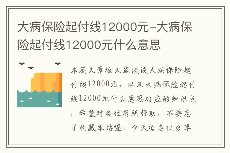 大病保险起付线12000元-大病保险起付线12000元什么意思