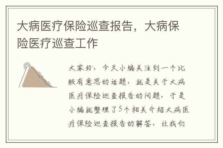 大病医疗保险巡查报告，大病保险医疗巡查工作