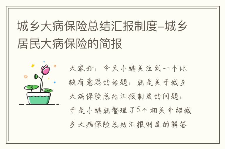 城乡大病保险总结汇报制度-城乡居民大病保险的简报