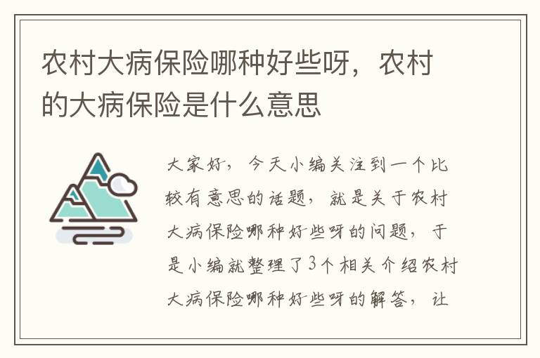 农村大病保险哪种好些呀，农村的大病保险是什么意思