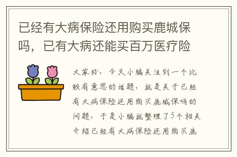 已经有大病保险还用购买鹿城保吗，已有大病还能买百万医疗险吗