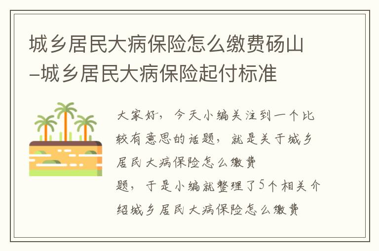 城乡居民大病保险怎么缴费砀山-城乡居民大病保险起付标准