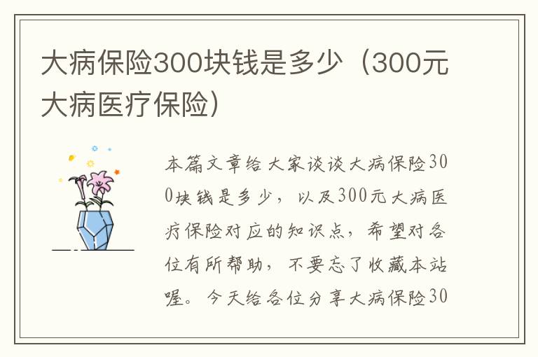 大病保险300块钱是多少（300元大病医疗保险）