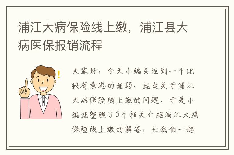 浦江大病保险线上缴，浦江县大病医保报销流程