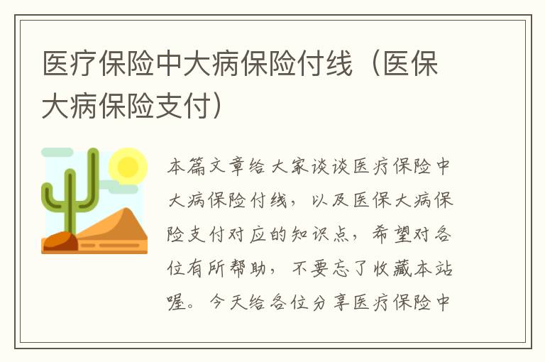 医疗保险中大病保险付线（医保大病保险支付）