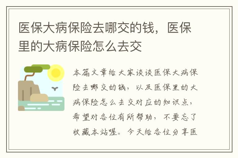 医保大病保险去哪交的钱，医保里的大病保险怎么去交