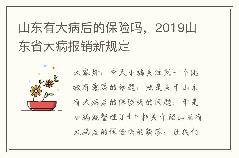 山东有大病后的保险吗，2019山东省大病报销新规定