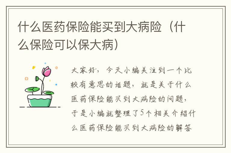 什么医药保险能买到大病险（什么保险可以保大病）