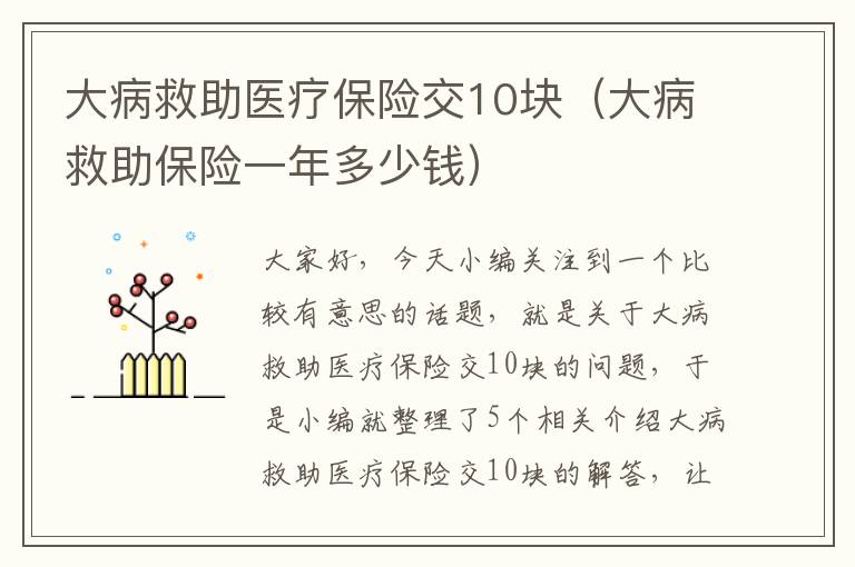 大病救助医疗保险交10块（大病救助保险一年多少钱）