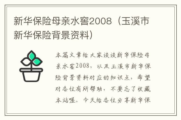 新华保险母亲水窖2008（玉溪市新华保险背景资料）