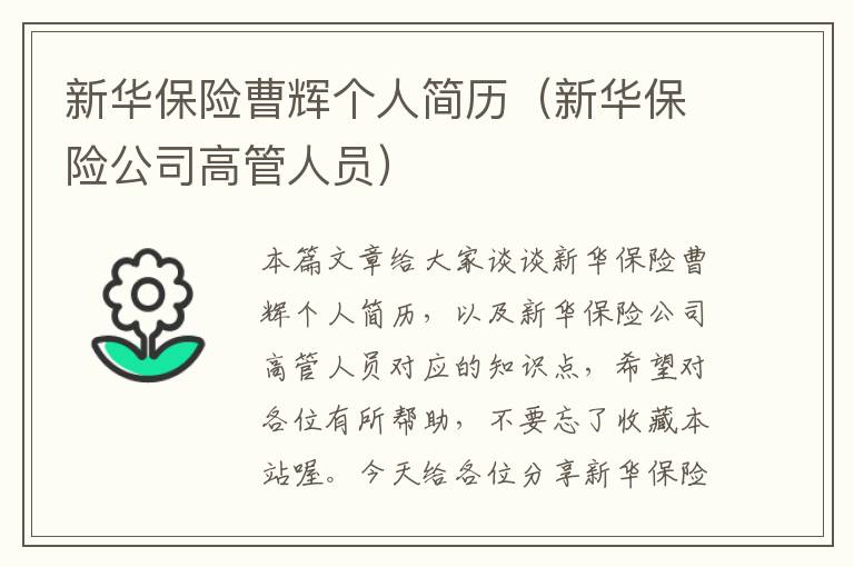 新华保险曹辉个人简历（新华保险公司高管人员）