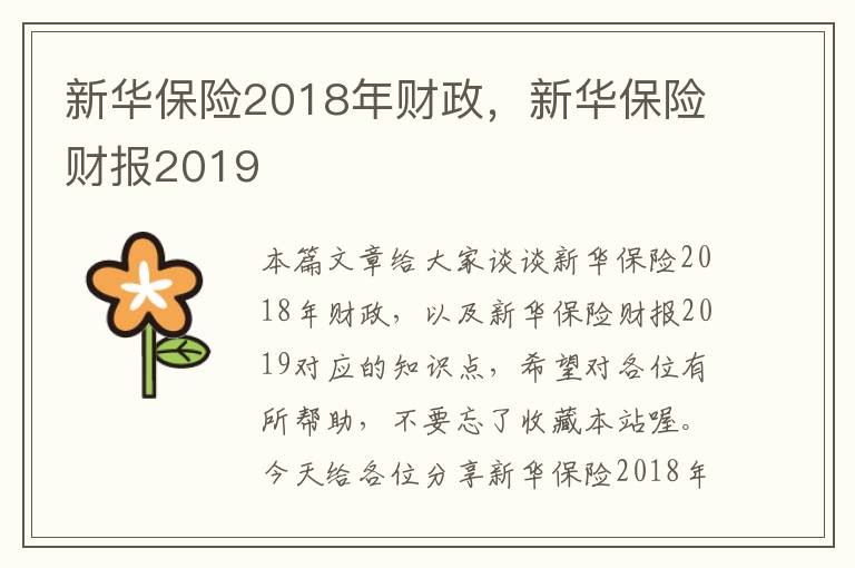 新华保险2018年财政，新华保险财报2019