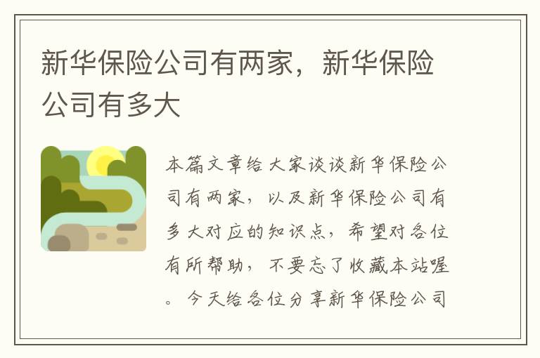 新华保险公司有两家，新华保险公司有多大