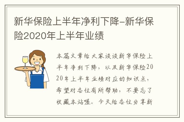 新华保险上半年净利下降-新华保险2020年上半年业绩