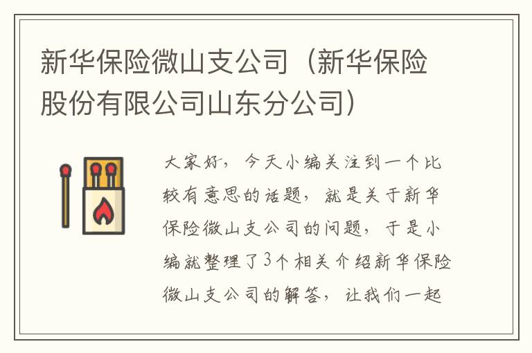 新华保险微山支公司（新华保险股份有限公司山东分公司）