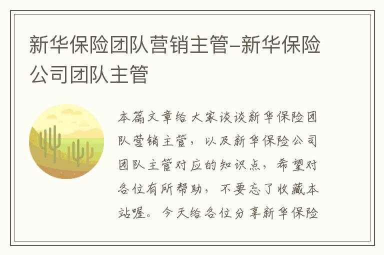 新华保险团队营销主管-新华保险公司团队主管