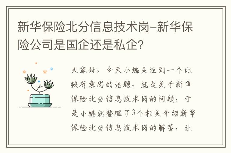 新华保险北分信息技术岗-新华保险公司是国企还是私企？