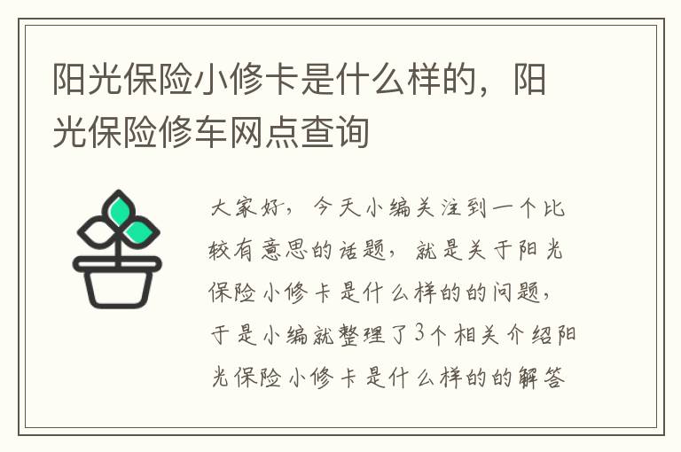 阳光保险小修卡是什么样的，阳光保险修车网点查询