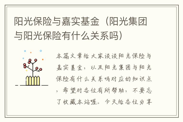 阳光保险与嘉实基金（阳光集团与阳光保险有什么关系吗）