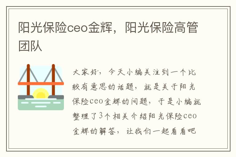 阳光保险ceo金辉，阳光保险高管团队