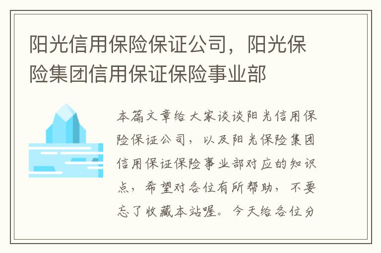 阳光信用保险保证公司，阳光保险集团信用保证保险事业部