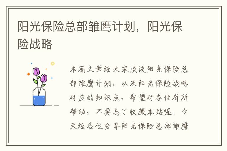 阳光保险总部雏鹰计划，阳光保险战略