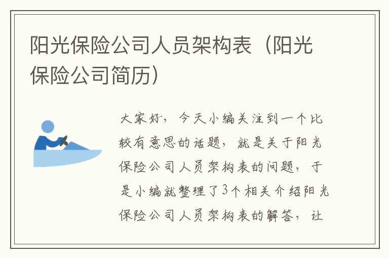 阳光保险公司人员架构表（阳光保险公司简历）