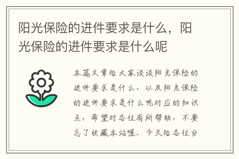 阳光保险的进件要求是什么，阳光保险的进件要求是什么呢