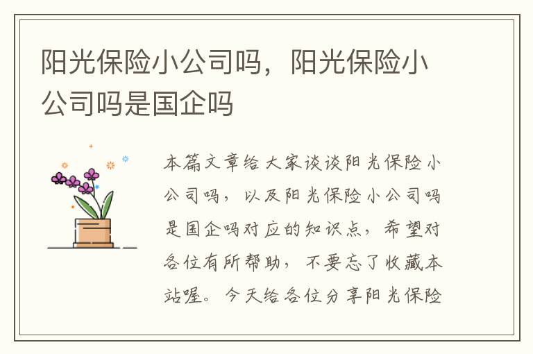 阳光保险小公司吗，阳光保险小公司吗是国企吗