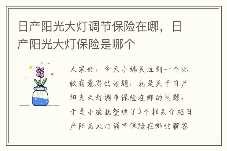 日产阳光大灯调节保险在哪，日产阳光大灯保险是哪个