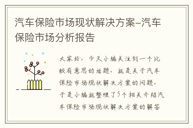 汽车保险市场现状解决方案-汽车保险市场分析报告