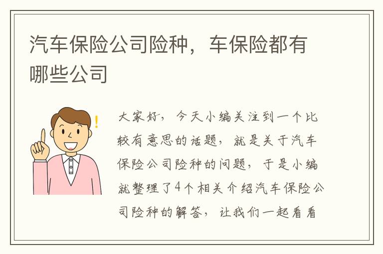 汽车保险公司险种，车保险都有哪些公司